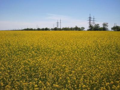 Прикрепленное изображение: Копия 2017-05-30 14.04.04.jpg